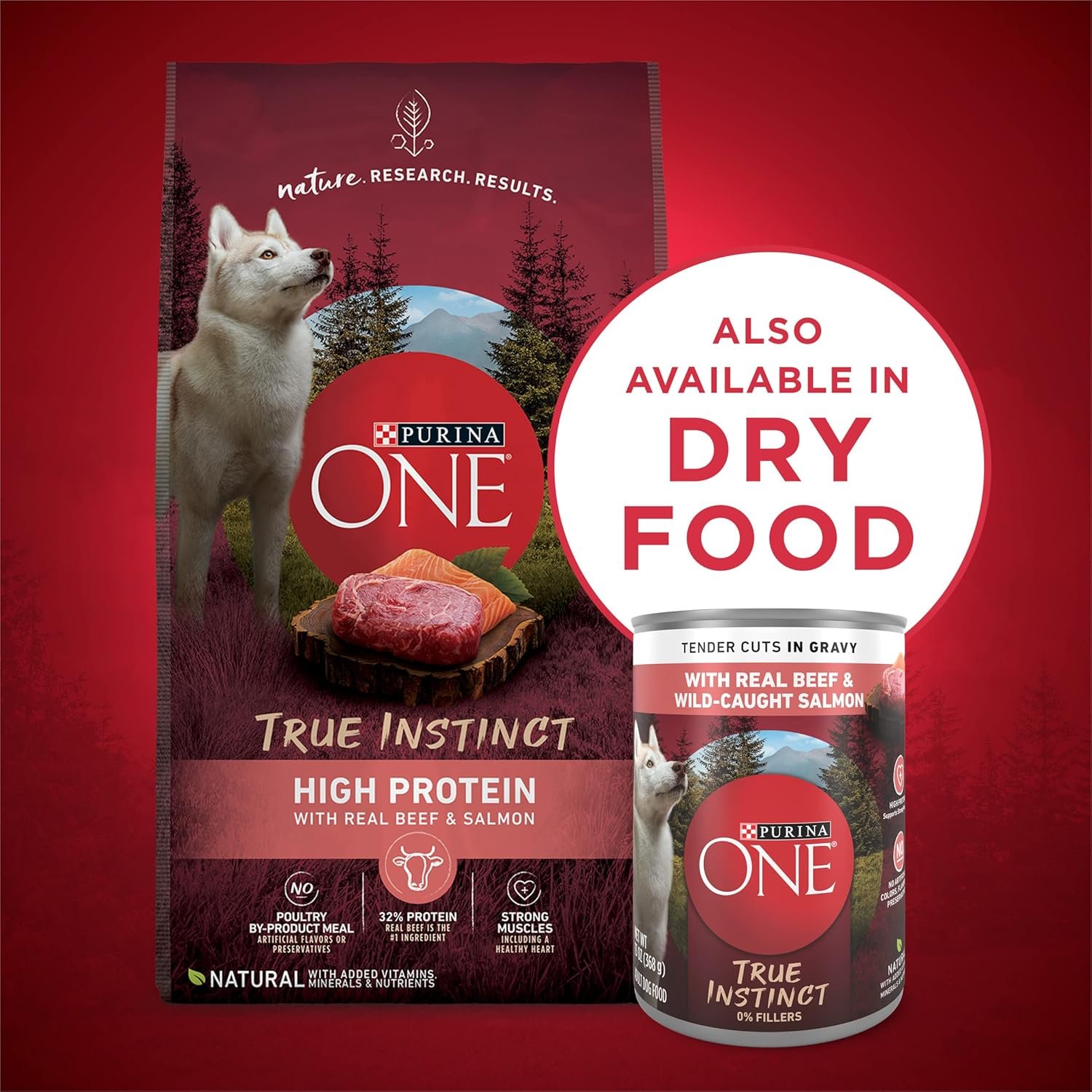 Best Cat Food & Litter Products for Healthy Cats
