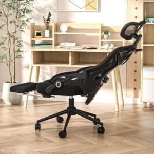 Ergonomic Office & Gaming Chair