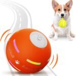 Interactive Dog Toys