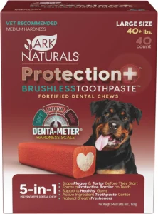Premium Dog Care Routine