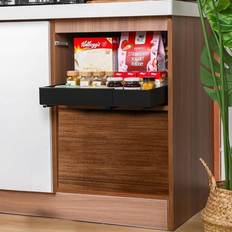 Best Pull Out Cabinet Organizer Storage