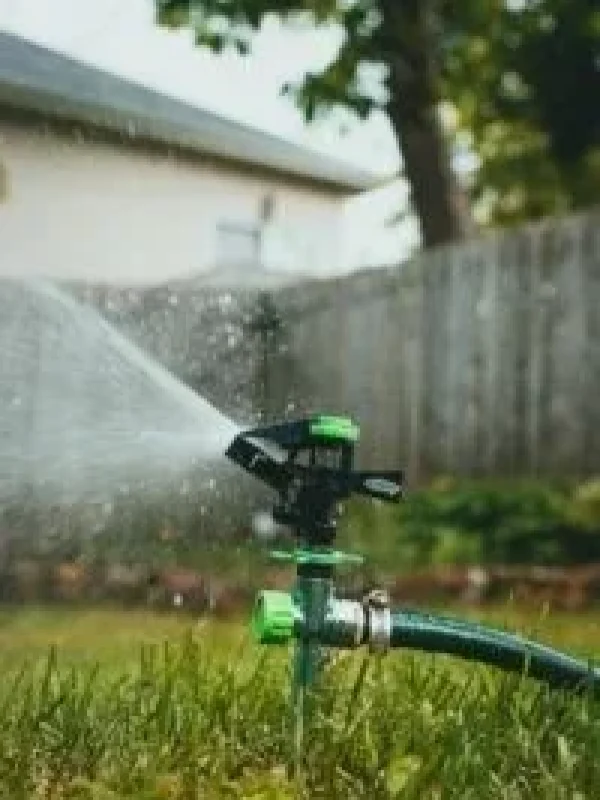 Best lawn & garden – Golden Home Finds Best lawn & garden - LAWN & GARDEN - Golden Home Finds