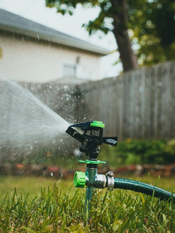 pexels-theshuttervision-17326319 pexels-theshuttervision-17326319